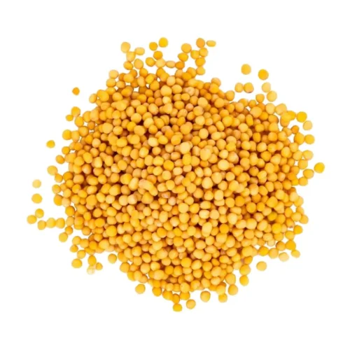 Mustard Seeds (yellow)